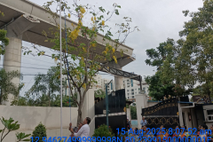 WhatsApp-Image-2025-08-15-at-8.41.56-AM-2